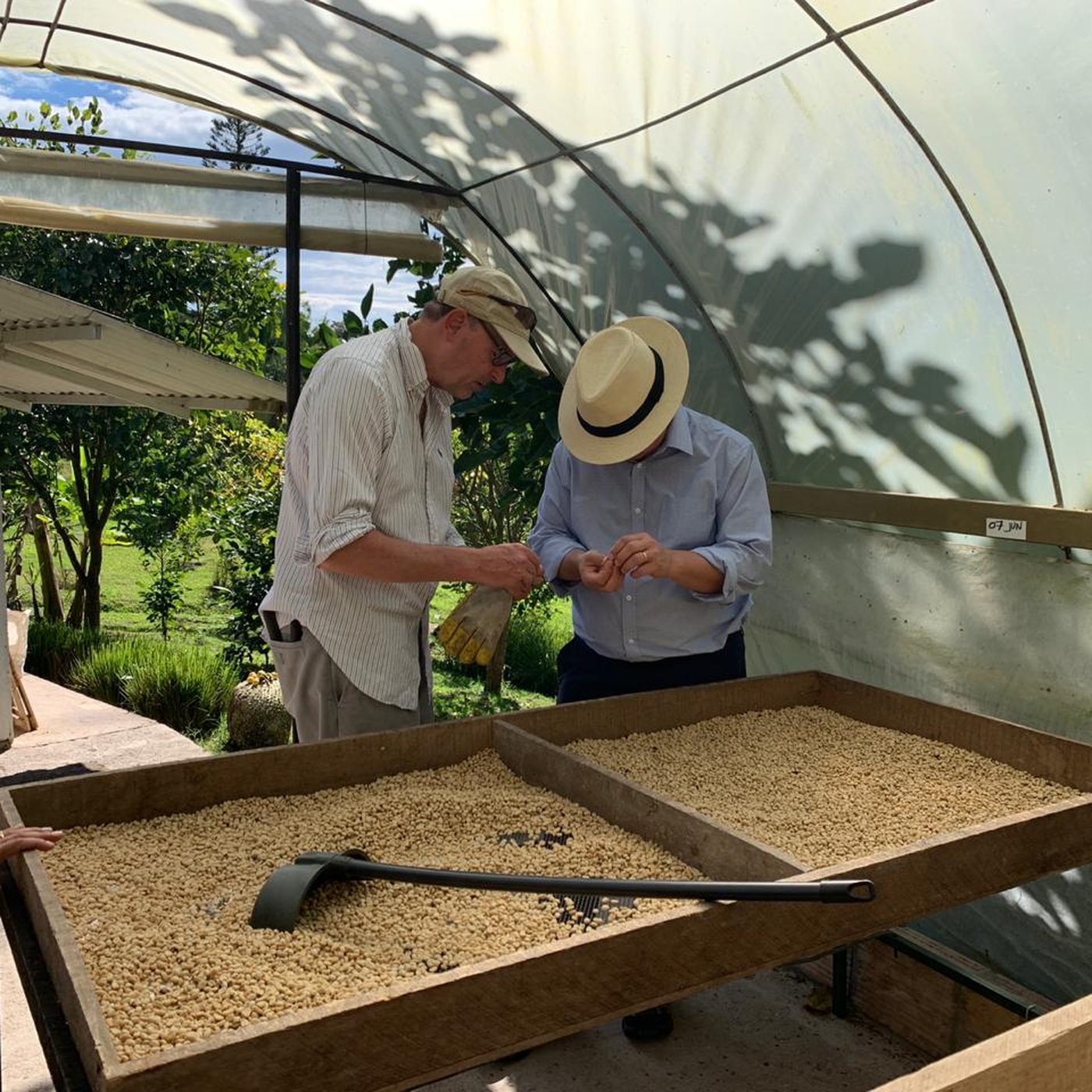 Orduz family, farm, and coffee 10