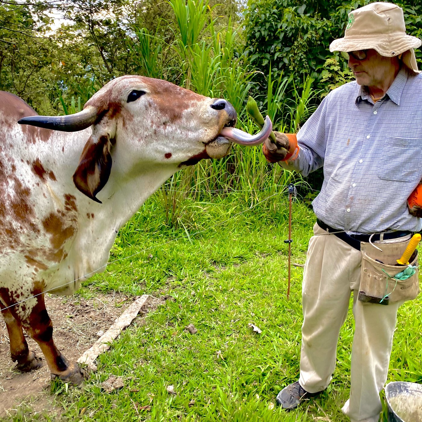 Orduz family, farm, and coffee 3